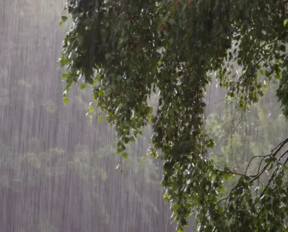 Clima en Edomex para este 21 de junio, ¿cuál será el pronóstico del tiempo este fin de semana?