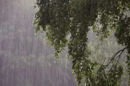 Clima en Edomex para este 21 de junio, ¿cuál será el pronóstico del tiempo este fin de semana?