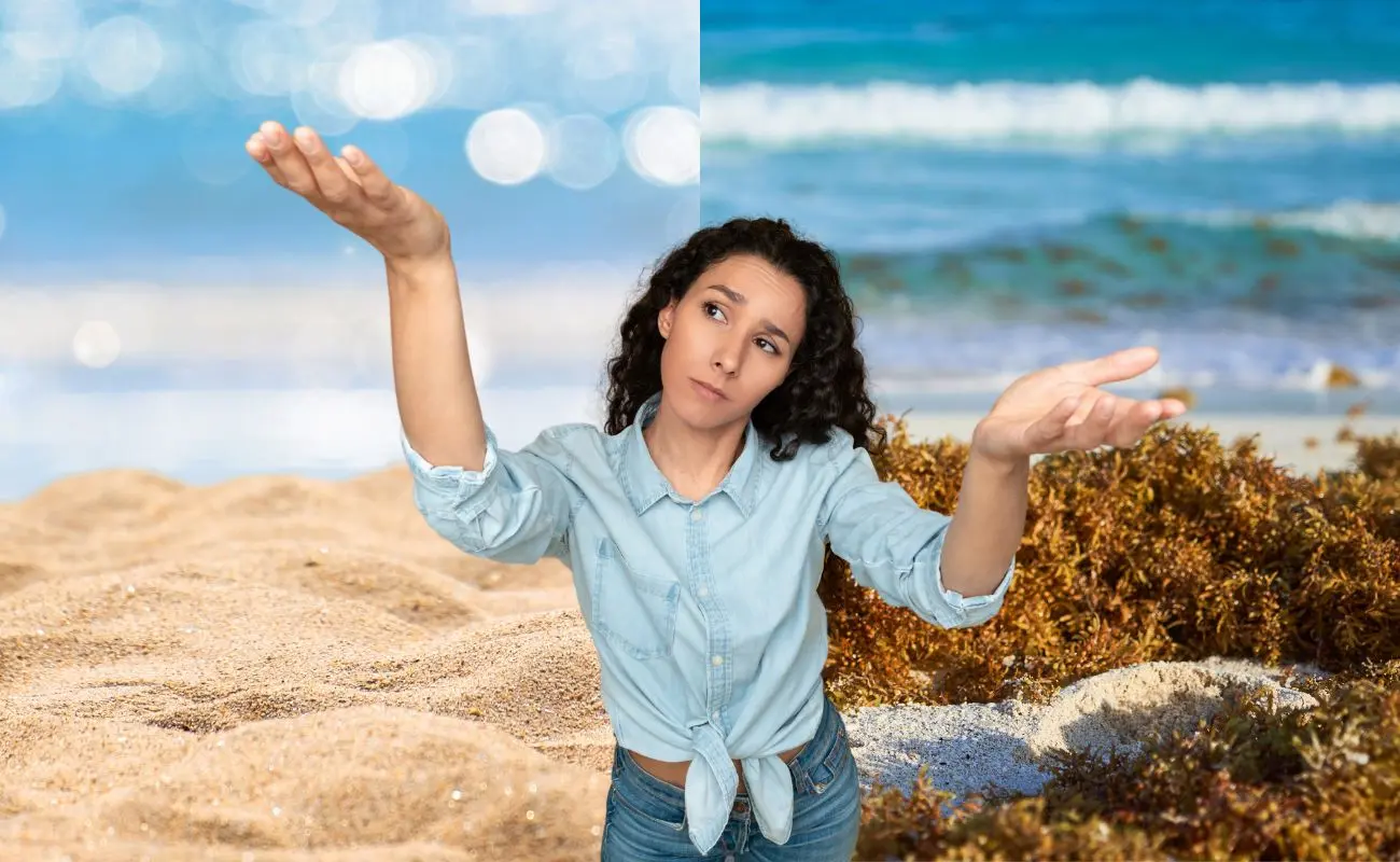 ¿Cuáles son las playas con menos sargazo de Yucatán? Foto: Canva