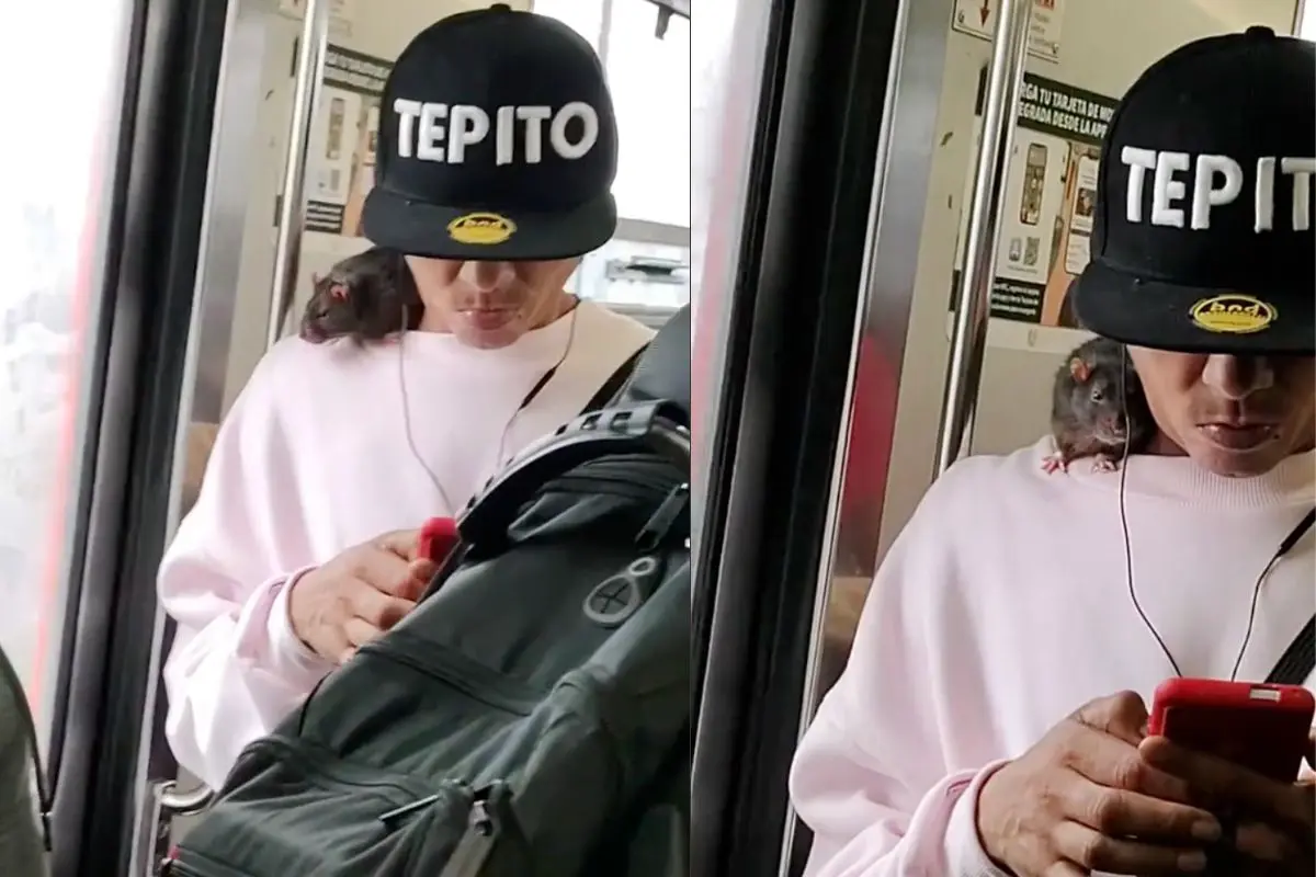 Joven viajando con su rata en el Metro CDMX. Foto: captura TikTok (@israeldurorivera) | Canva