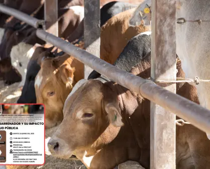 UAT se suma al combate contra el gusano barrenador en Tamaulipas