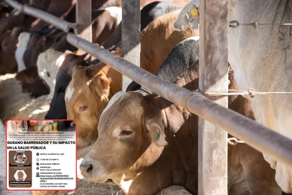 UAT se suma al combate contra el gusano barrenador en Tamaulipas