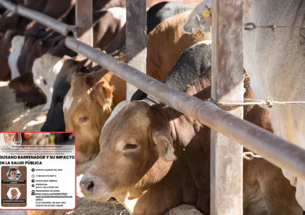 UAT se suma al combate contra el gusano barrenador en Tamaulipas