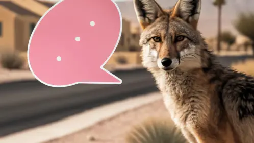 Este animal nativo de Tamaulipas desarrolla su propio lenguaje para hablar con su manada