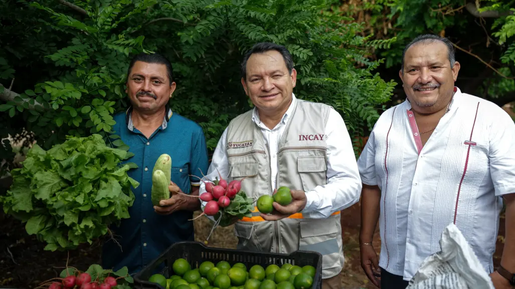 Renacimiento Maya invertirá 40 millones por deuda histórica con el campo yucateco