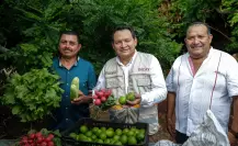 Renacimiento Maya invertirá 40 millones por deuda histórica con el campo yucateco