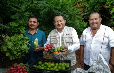 Renacimiento Maya invertirá 40 millones por deuda histórica con el campo yucateco