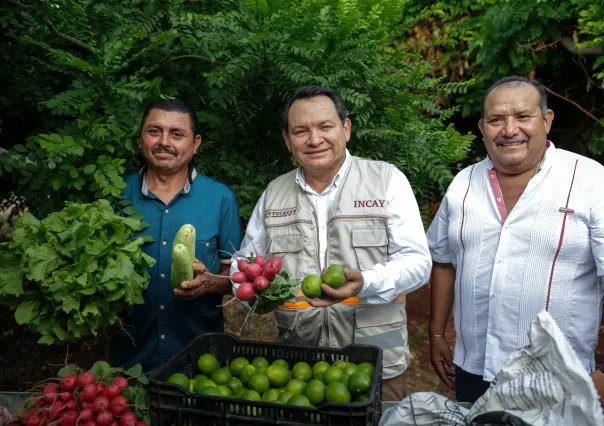 Renacimiento Maya invertirá 40 millones por deuda histórica con el campo yucateco