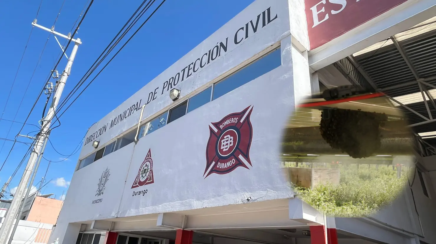 Foto: Jesús Carrillo | Regularmente, los panales de abeja son algunas de las principales llamadas de auxilio por parte de la ciudadanía a bomberos.
