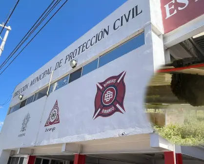 ¡Cuidado con las abejas! A diario hay reportes de enjambres y panales en Durango