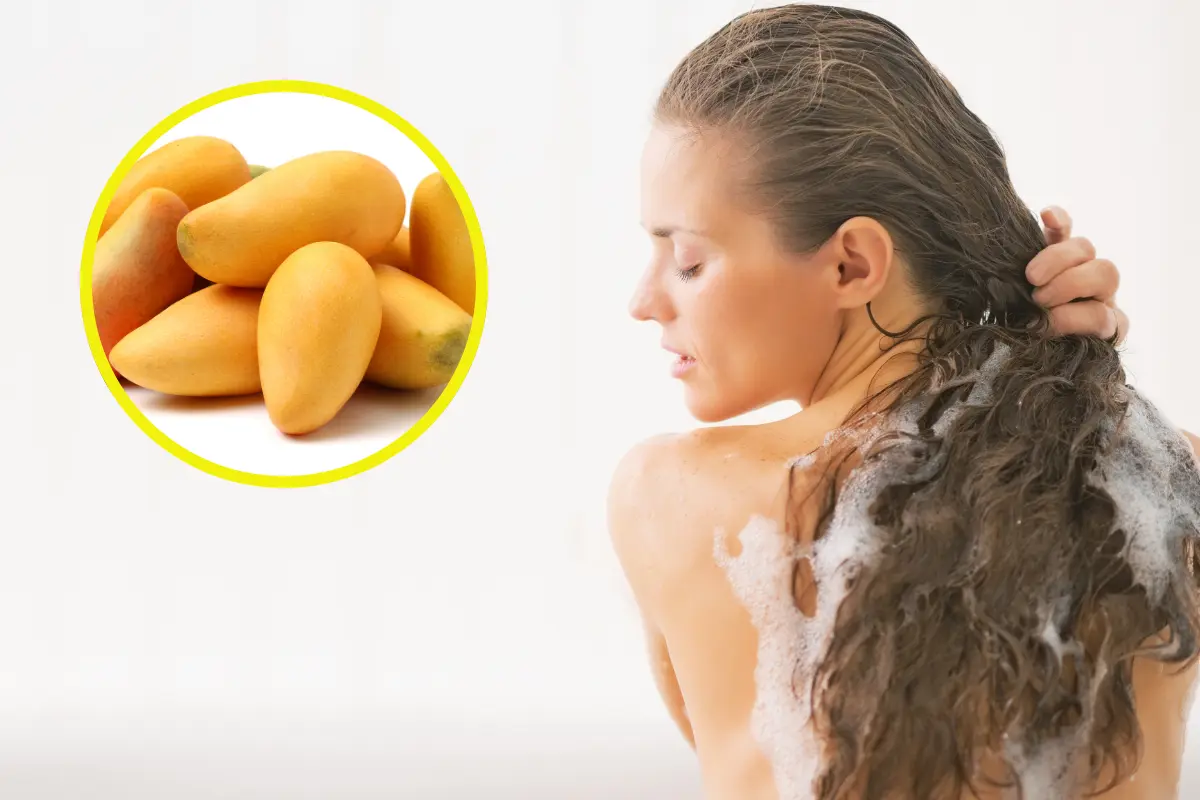 Los nutrientes del mango hidratan el cabello y previnen la caída. Foto: Canva