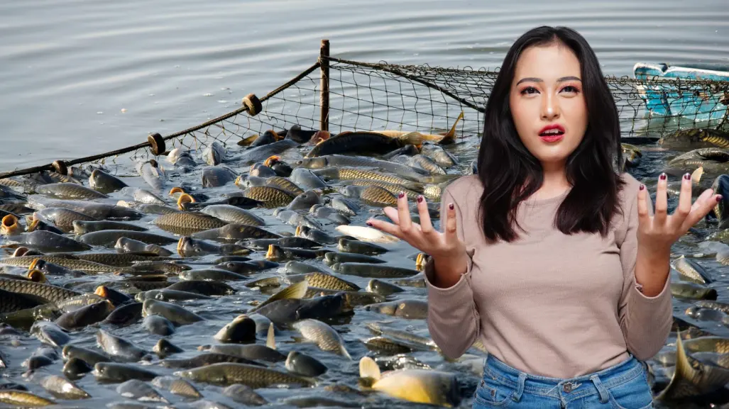 Estas son las especies que más capturan los barcos pesqueros industriales en Baja California Sur
