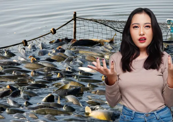 Estas son las especies que más capturan los barcos pesqueros industriales en Baja California Sur