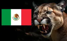 6 felinos existentes en México que son animales nativos de Tamaulipas