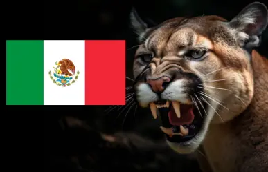 6 felinos existentes en México que son animales nativos de Tamaulipas