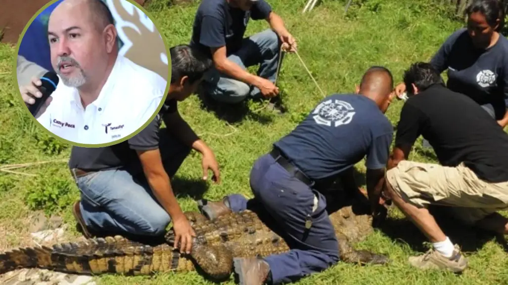 Tamaulipas apuesta por el conocimiento para enfrentar la presencia de cocodrilos en comunidades