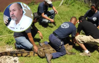 Tamaulipas apuesta por el conocimiento para enfrentar la presencia de cocodrilos en comunidades