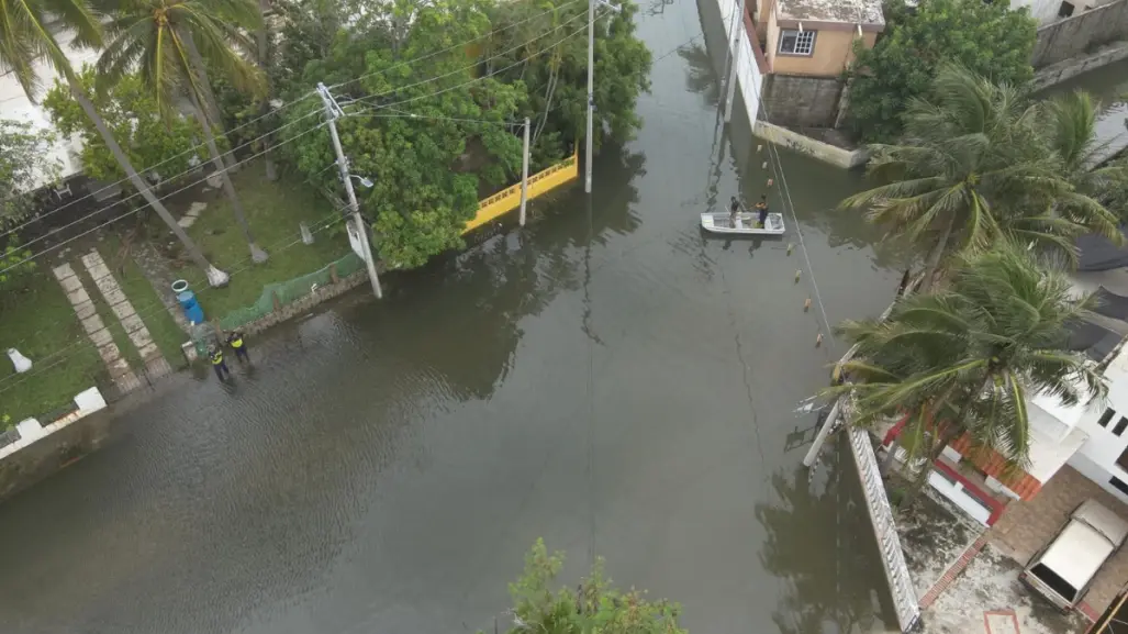 Entre 10 y 15 reportes de cocodrilos en calles del sur de Tamaulipas tras las lluvias
