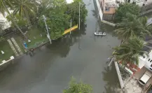 Entre 10 y 15 reportes de cocodrilos en calles del sur de Tamaulipas tras las lluvias