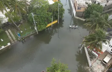 Entre 10 y 15 reportes de cocodrilos en calles del sur de Tamaulipas tras las lluvias