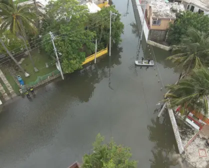 Entre 10 y 15 reportes de cocodrilos en calles del sur de Tamaulipas tras las lluvias