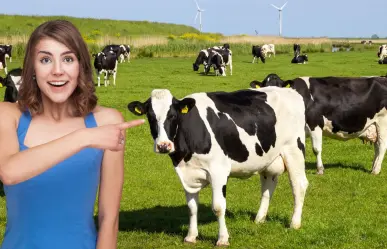 Conoce la empresa tradicional de leche fresca que es orgullo de BCS desde hace 40 años