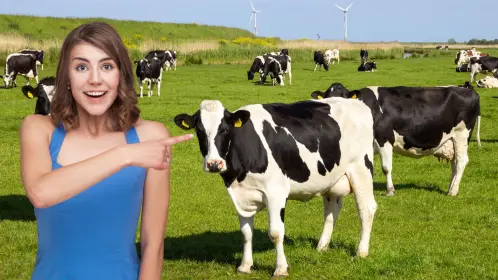 Conoce la empresa tradicional de leche fresca que es orgullo de BCS desde hace 40 años