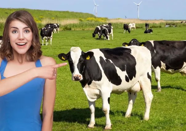 Conoce la empresa tradicional de leche fresca que es orgullo de BCS desde hace 40 años