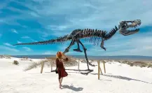 Este animal de Coahuila parece salido de una leyenda y fue encontrado en el desierto