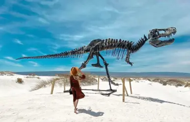 Este animal de Coahuila parece salido de una leyenda y fue encontrado en el desierto
