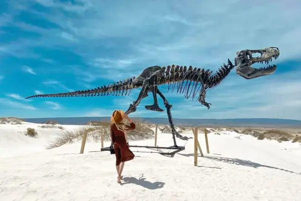 Esta especie de Coahuila fue encontrada en el desierto en 2024