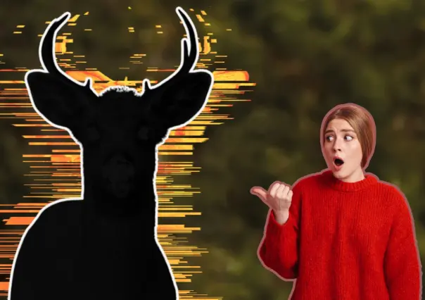 El animal nativo de Nuevo León que cambia de color en su pelaje según la temporada
