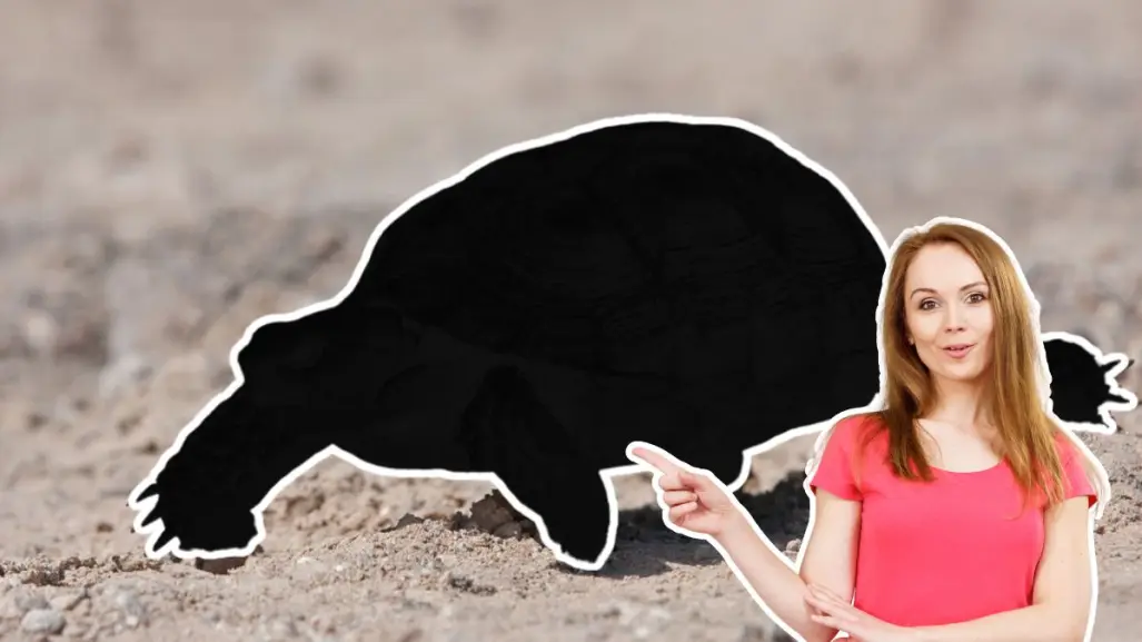 Este animal nativo de Nuevo León se entierra para protegerse del calor