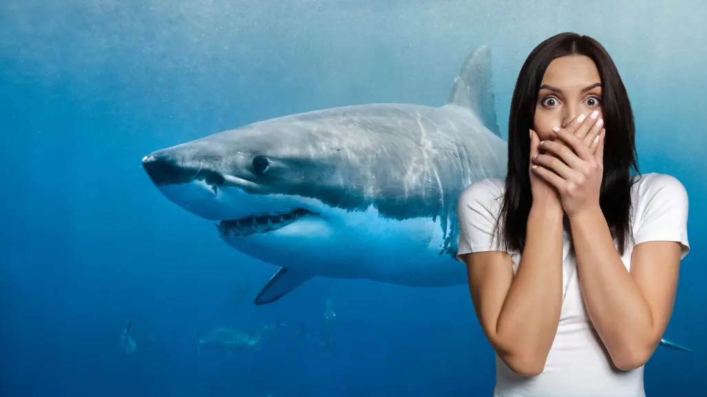 Estos son los casos de tiburones vistos en playas de Baja California Sur y no lo sabías