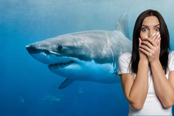 Estos son los casos de tiburones vistos en playas de Baja California Sur y no lo sabías