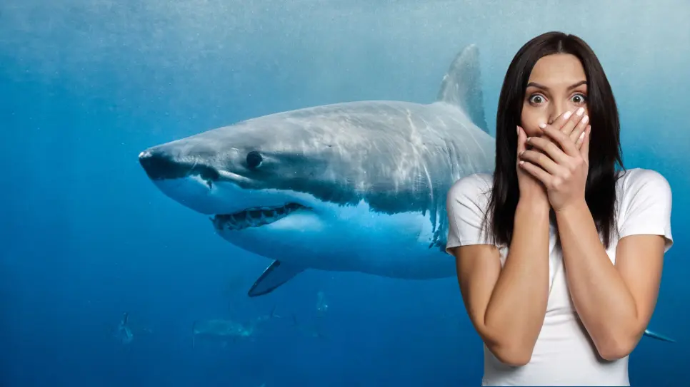 Estos son los casos de tiburones vistos en playas de Baja California Sur y no lo sabías