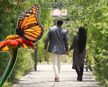 Este pueblo con encanto de Edomex está lleno de mariposas y joyas de arquitectura barroca