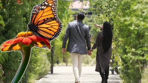 Este pueblo con encanto de Edomex está lleno de mariposas y joyas de arquitectura barroca