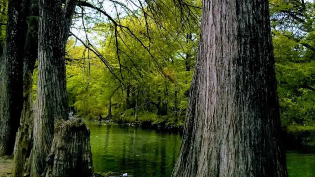 Esta carretera te lleva al enigmático río al pie de la sierra madre para disfrutar en familia