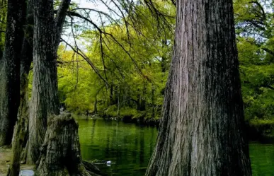 Esta carretera te lleva al enigmático río al pie de la sierra madre para disfrutar en familia