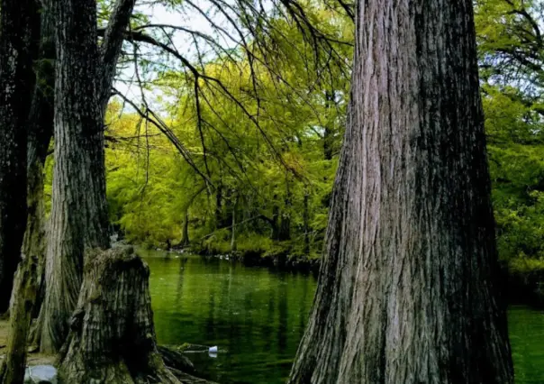 Esta carretera te lleva al enigmático río al pie de la sierra madre para disfrutar en familia