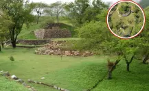El misterioso paraíso cerca de CDMX donde la naturaleza se vive como en tiempos ancestrales