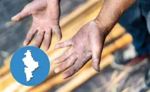 Trabajo infantil en Nuevo León: ¿cuántos niños están afectados?