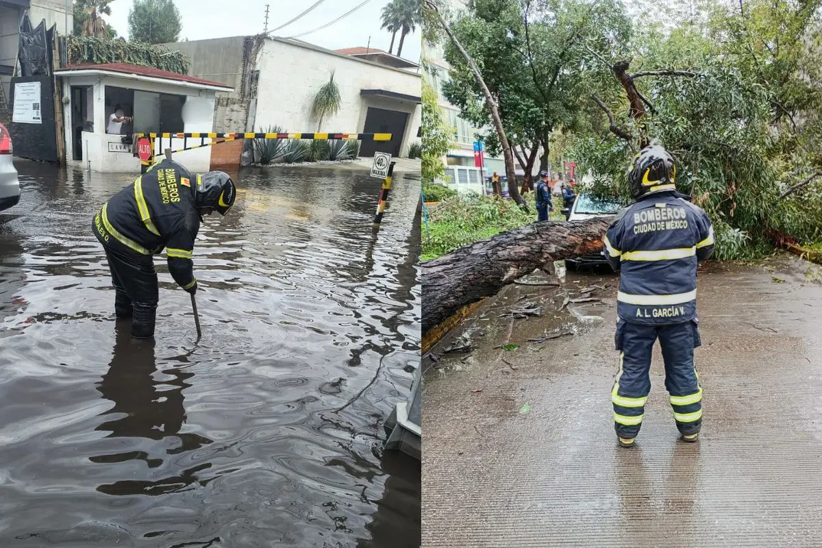 Inundaciones y caída de árboles en CDMX tras fuertes lluvias. Foto: X (@Bomberos_CDMX) | Canva