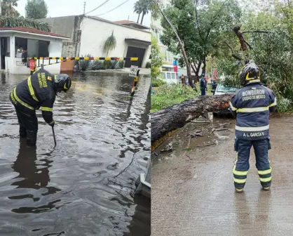 Las lluvias en CDMX dejan encharcamientos y árboles caídos; estas fueron las alcaldías afectadas