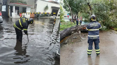Las lluvias en CDMX dejan encharcamientos y árboles caídos; estas fueron las alcaldías afectadas