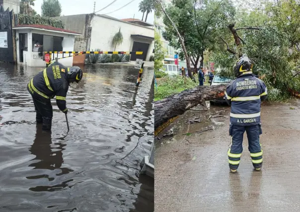 Las lluvias en CDMX dejan encharcamientos y árboles caídos; estas fueron las alcaldías afectadas