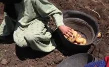¿Cómo denunciar el trabajo infantil en Nuevo León?