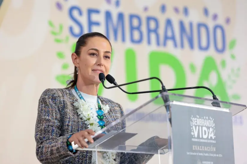 Foto: Programas para el Bienestar