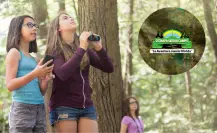 El curso de verano en Durango que ofrece acampar en el bosque